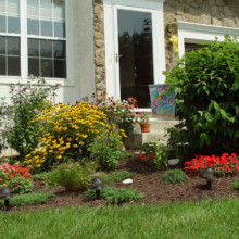 property management company san antonio